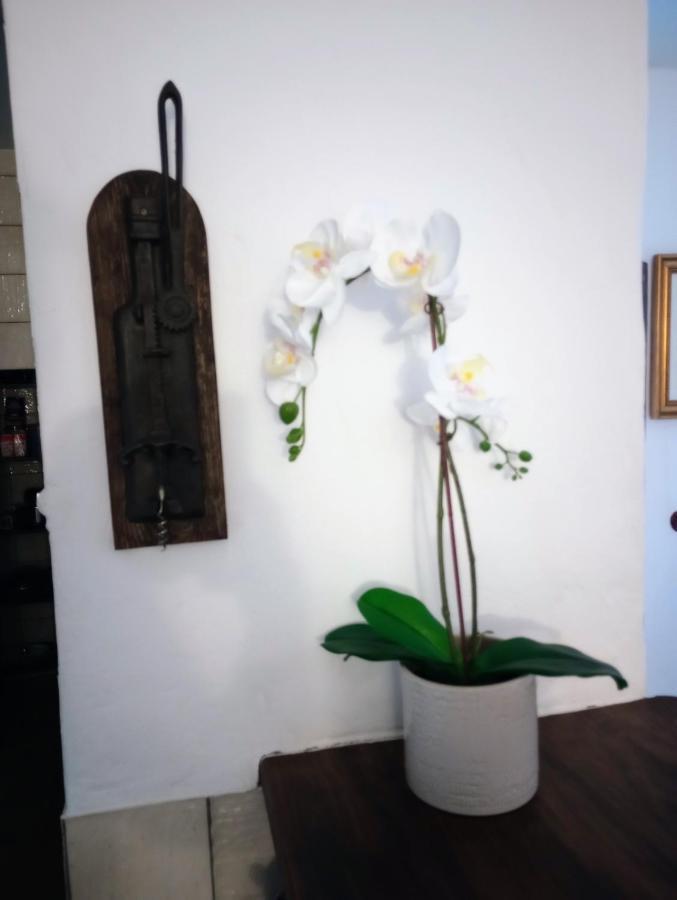 Casa Jaruf Centro Historico Parking Gratuito Patio Petfriendly Appartement Arcos de la Frontera Buitenkant foto